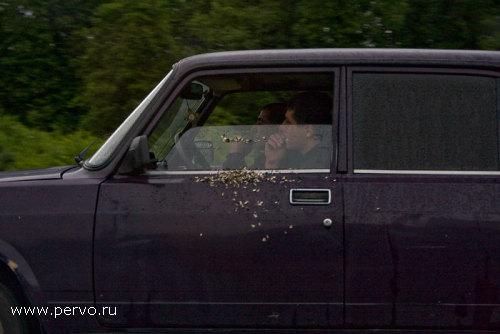 тема семак понятна. весна.