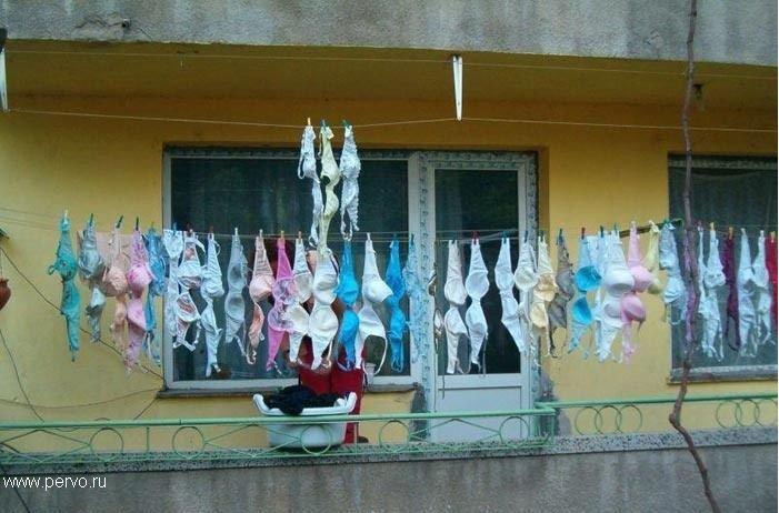 Сколько у неё сисек?!?