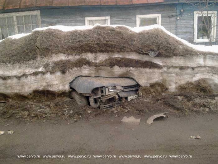 Весна. Подснежники.