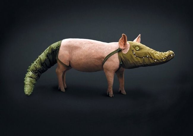 Свинодил или Крокопиг?