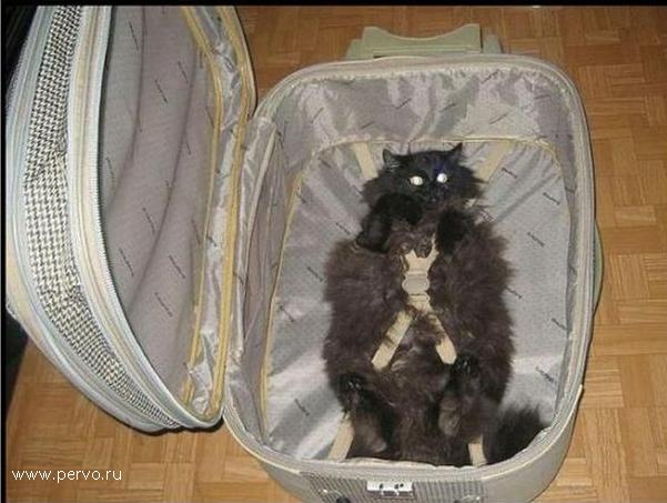 пора в отпуск