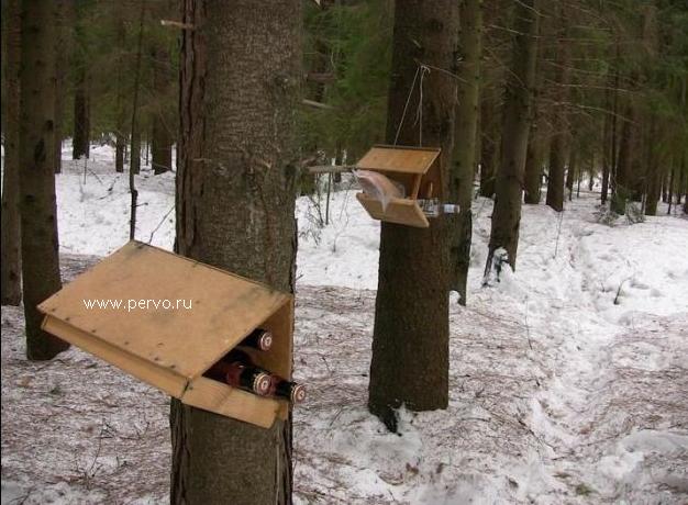 С пятницей вас !