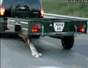 Русская смекалка