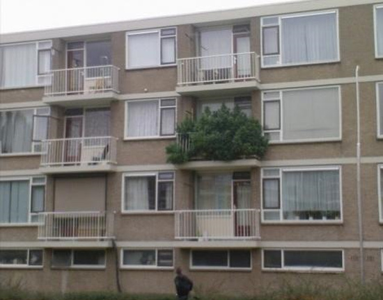 Без палева о_О