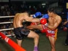Первоуральск будет участвовать в первенстве УрФУ по тайскому боксу