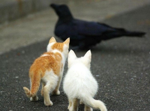 пообедаем...