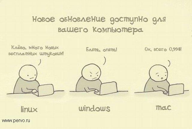 горькая правда