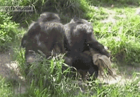 Пора валить за пефком с работки.....