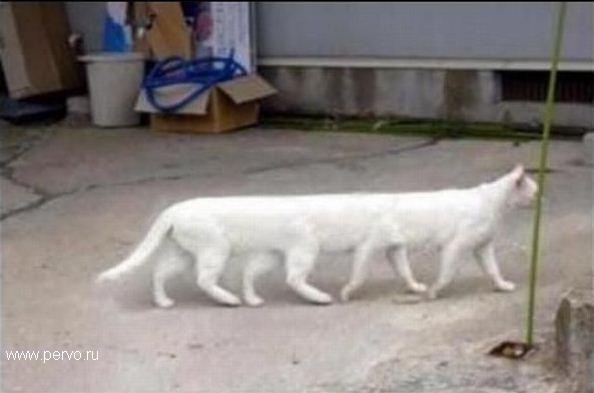 на фукусиме всё спокойно