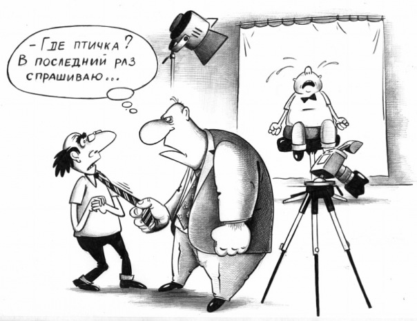 Где птичка ?