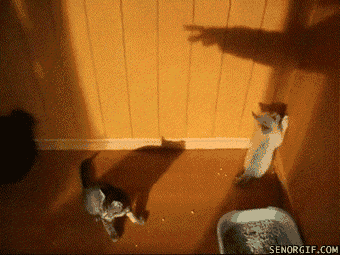 залип на гифку ))))