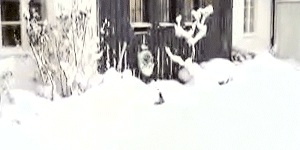 пунь пунь пунь