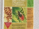 В Первоуральске "проснулись" клещи. Видео