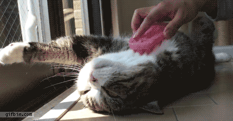 после обеденный сон полезен!