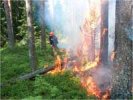 Очаги природных пожаров в Первоуральском округе