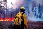 Борьба с лесными пожарами продолжается