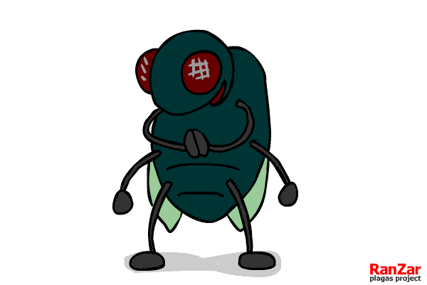 Муха-мухаха!