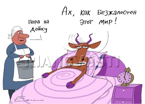 пора на дойку