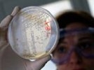 Россия не зря не поверила ЕС: кишечная бактерия-мутант снова одурачила ученых