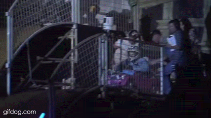 автогонки 2011