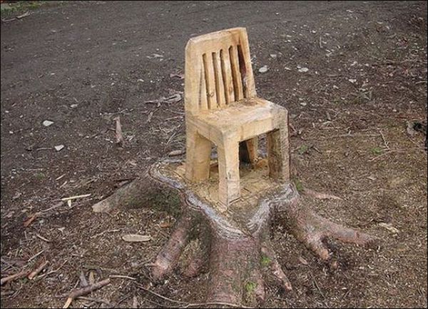 Дачник, не дай скуке убить себя