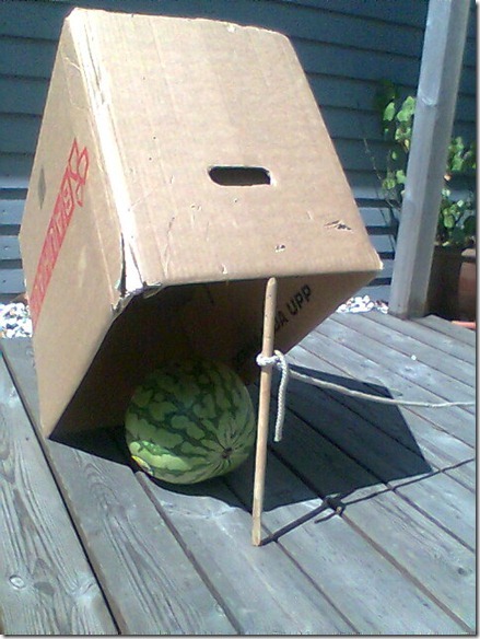 поймай себе негра!