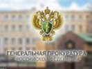 Генпрокуратура занялась поставками топлива в аэропорты Москвы и Екатеринбурга