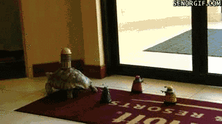 бугашечки.......