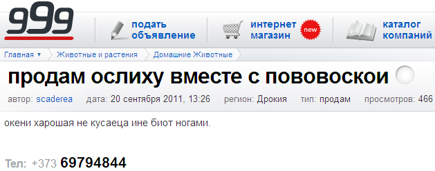 продам ослиху вместе с пововоскои