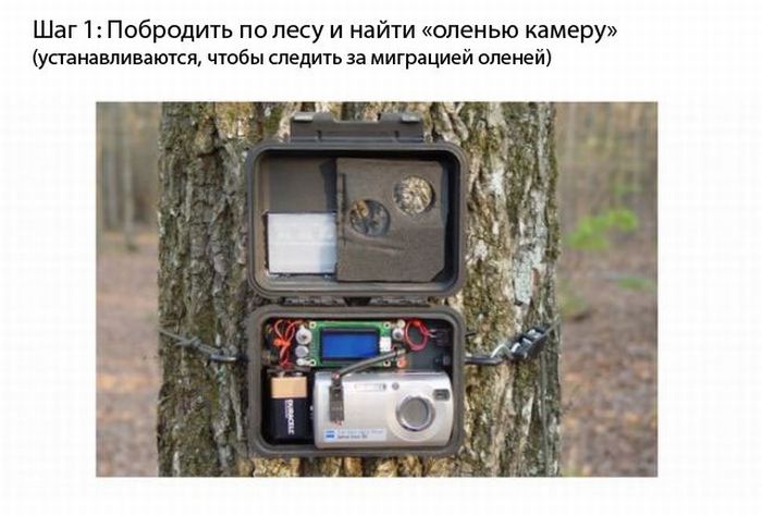 Сенсация своими руками ...