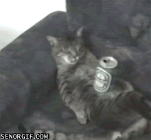 пятница же пришла...