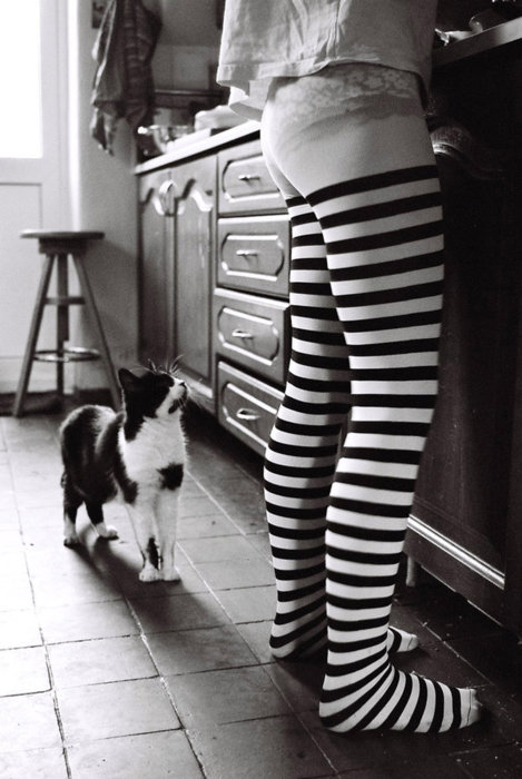 Доброе осеннее утро !