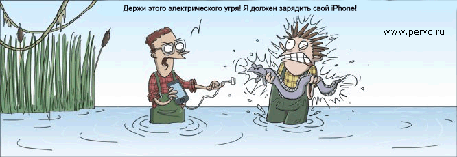 Держи этого электрического угря !