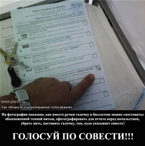 Голосуй по совести !