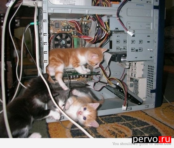 Страшный сон сисадмин