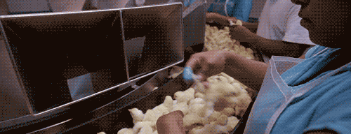 че эт с ними делают?