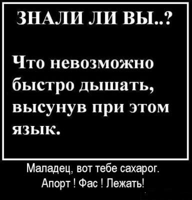 А знаете ли вы ?