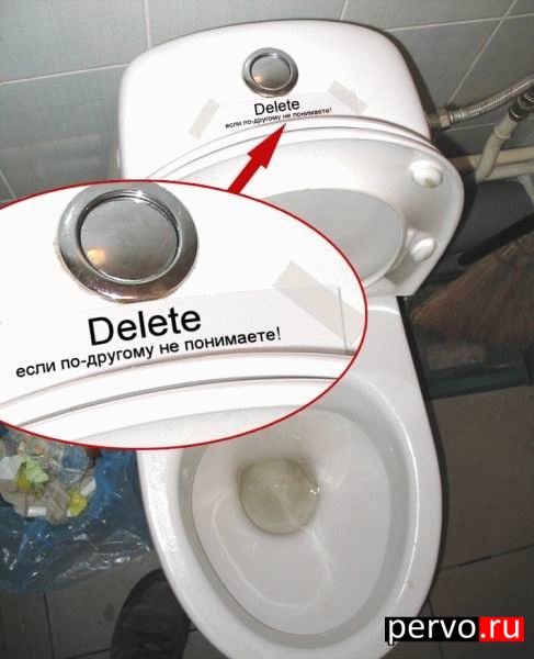 Суета вокруг сортира!