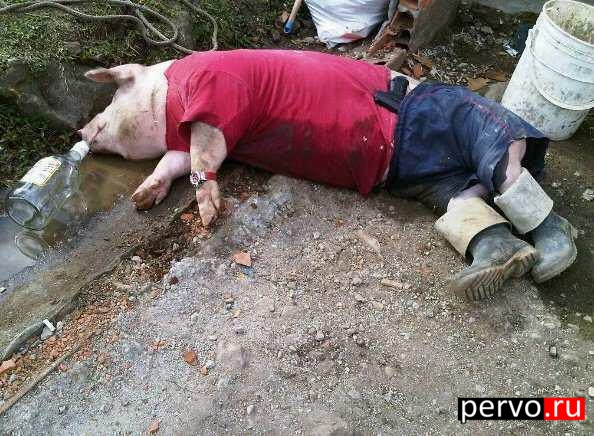 выходные прошли отлично !