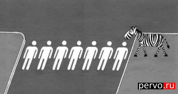 переходить нужно только по зебре