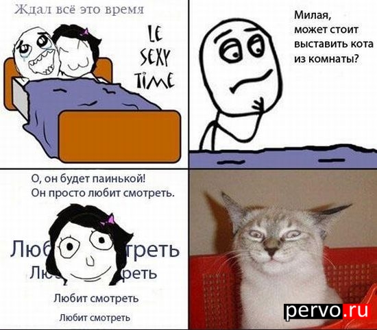 любит смотреть