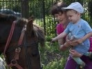 Первоуральский детский дом посетила конная полиция. Фото