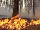 В Первоуральске введен особый противопожарный режим