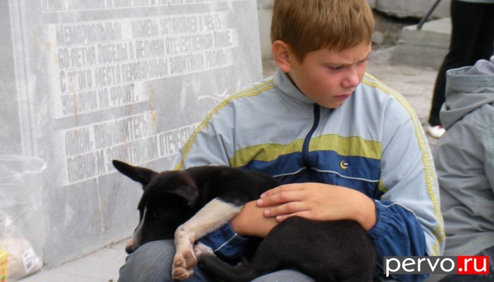 В Первоуральске зоозащитники отметили пятилетие существования своей организации