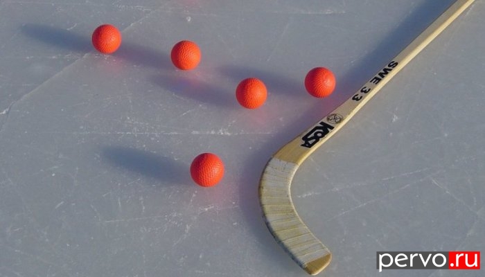 В чемпионате России 2012/2013 по хоккею с мячом, «Уральский трубник» проведет игры с тринадцатью соперниками. Список команд