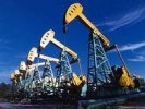 ФАС: всего 5 компаний контролируют более 70% российского рынка сырой нефти