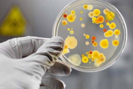 Травят потому что ничего и никого не боятся!