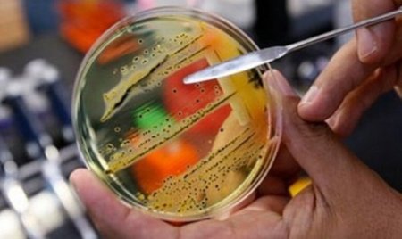 В Первоуральске нарушения санитарных требований в школах носят массовый характер