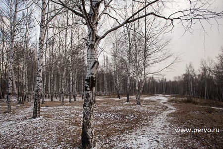 За историческую красоту!