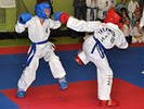 В Первоуральске пройдет 18-й Всероссийский турнир по тхэквондо
